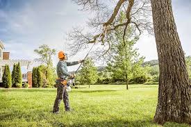 Best Leaf Removal  in Crozet, VA