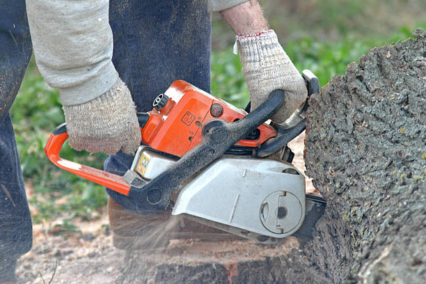 Best Grass Overseeding  in Crozet, VA